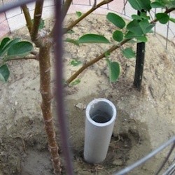 PVC Pipe For Deep Watering