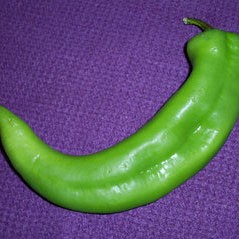 A green Anaheim chile