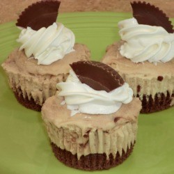 Ice Cream Cupcakes