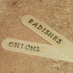 Popsicle Stick Plant Markers