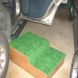 Dog steps next to vehicle.