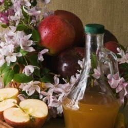 Apple Cider Vinegar With Apples and Cinnamon 