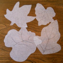 Four different leaf tracings.