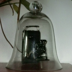 cloche over camera