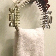 towel ring