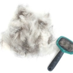 A dog's brush next to a pile of dog hair.