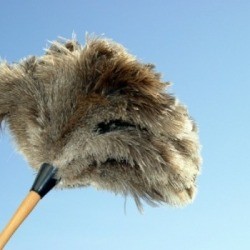 Dusting Delicate Items