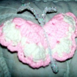 Pink and white butterfly.