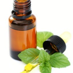 Peppermint Oil