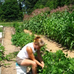 A woman sitting on a covered bucket while weeding in the garden.