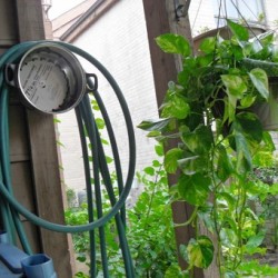 cooking pot as hose hanger