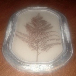Framed dried fern frond.