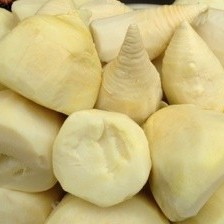 Bamboo Shoots