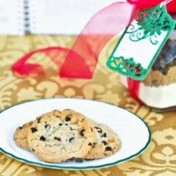 Christmas Gift Ideas