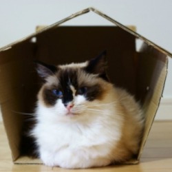 Uses For Cardboard Boxes
