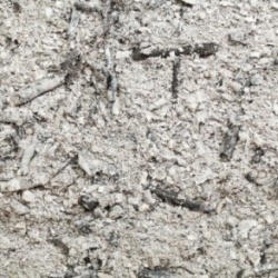 Wood Ashes