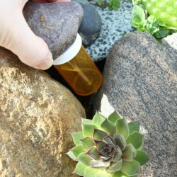 pill bottle hide a key