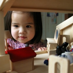 Dollhouse