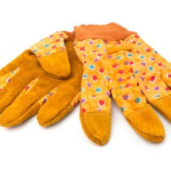 Garden Gloves
