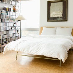 Organized Bedroom Without a Closet