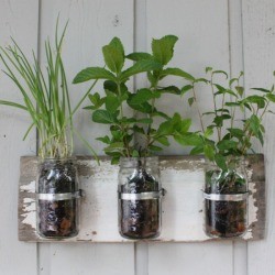canning jars mounted on rustic board