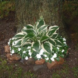 Adding Points of Interest to Lawns