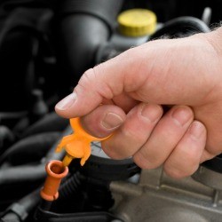 Photo of a someone checking their oil.