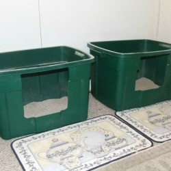 Homemade Cat Litter Box