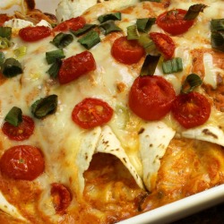 Cheese and Chicken Enchiladas