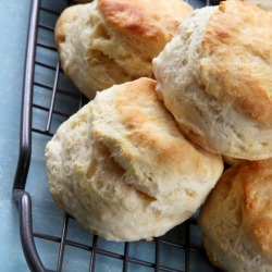 Buttermilk Biscuits