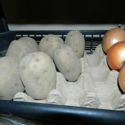 Egg Crates for Veggie Storage - Potatoes and onions in egg crates.