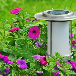 A solar light in a garden.