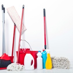 Brooms and Mops