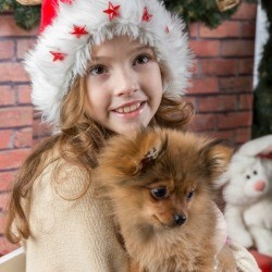 A girl receiving a dog as a gift.