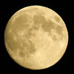 A photo of the full moon.
