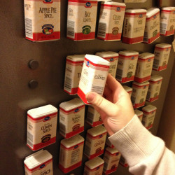 Spice Tins on Fridge
