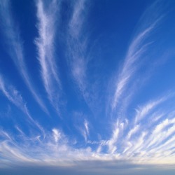 streaks of clouds