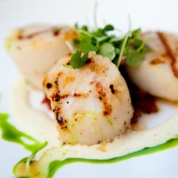 Grilled Scallops