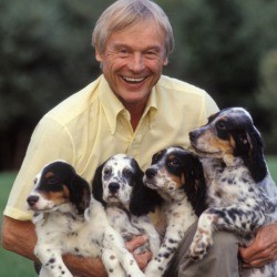 4 Dalmatian mix puppies
