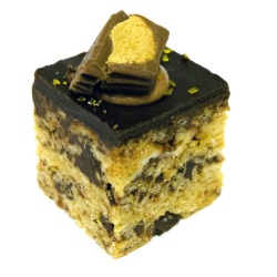 Chocolate Peanut Butter Square