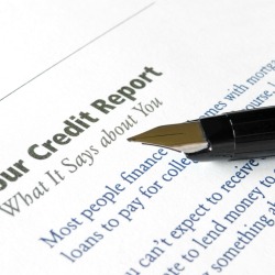 Credit Report