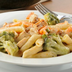Chicken Broccoli Alfredo