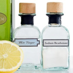 Baking Soda and Vinegar