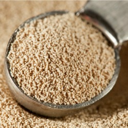 Yeast for Baking