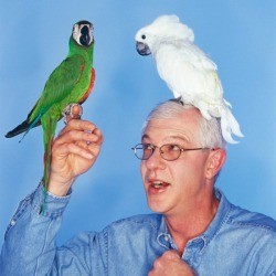 Man with Pet Cockatiels