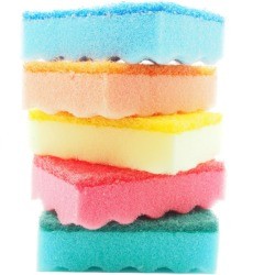 Colorful Sponges