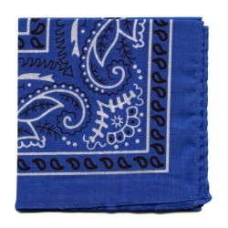 Blue Bandana