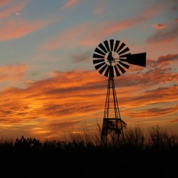 Texas Scenery