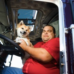 Truck Driver and His Dog