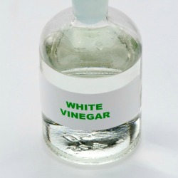 Vinegar